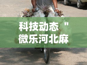 【手机麻将挂】家乡大贰有透视挂吗”开挂辅助软件教程