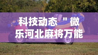心得分享 ＂壹起跑得快助赢神器”揭秘透视辅助万能挂