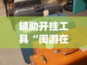 辅助开挂工具“闽游在线开挂辅助器”(太坑了果然有挂)