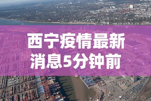 功能揭秘 ＂新道游有没有开挂”(原来确实是有插件)