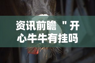 资讯前瞻 ＂开心牛牛有挂吗”真的有挂