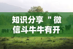 独家脚本实测“手机十三水能开挂吗最新辅助详细教程 独家脚本实测“手机十三水能开挂吗最新辅助详细教程