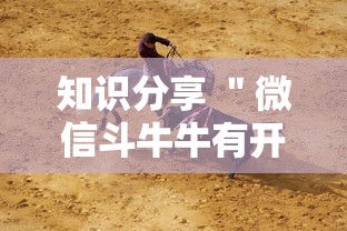 安装程序教程“跑得快16张开挂神器(作弊)”附开挂脚本详细步骤