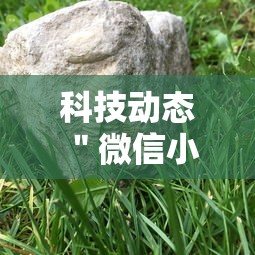科技动态 ＂微信小程序微乐河南麻将外卦神”辅助神器插件下载