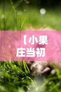 反复测试 ＂哈灵麻将外卦神器	”科技辅助神器手机版教程