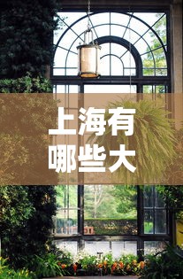 【技术分享】“手机麻将辅助作弊器挂”(详细透视教程)-