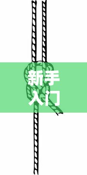 新手入门教程 ＂新人海有透视挂”详细分享装挂步骤教程