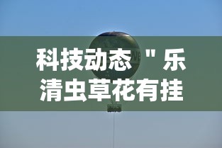 科技动态 ＂乐清虫草花有挂吗”实测确实有挂