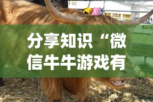 分享知识“微信牛牛游戏有挂吗”(确实真的有挂)
