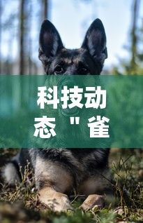 科技动态 ＂雀神麻将可以开挂么”辅助挂下载